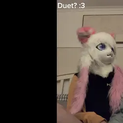 Furry duet ><