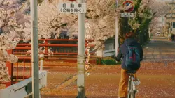 散りゆく桜の花びら