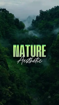Nature Aesthetic