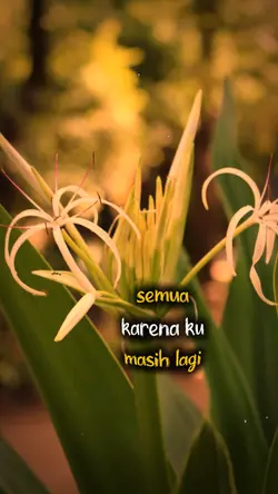 rela..