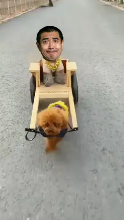 Funny video