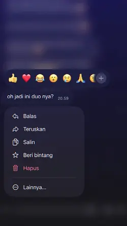 oh jadi ini duo nya?