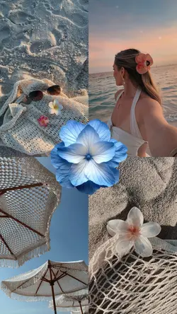 blue flower summer