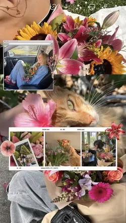 Aesthetic Collage