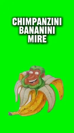 chimpanzini bananini
