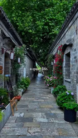 a quiet life