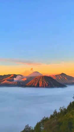Estetik bromo