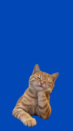 Gato pensando 