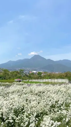nature vlog