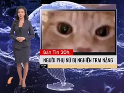 mẫu troll thời sự
