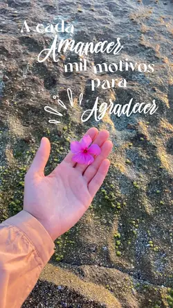 Buenos días 