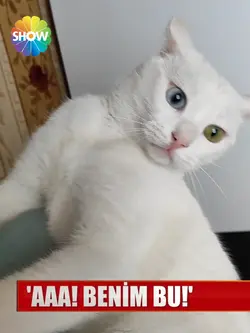 Kendini Görmek