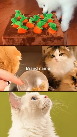 Pet Supplies