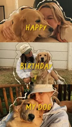 Birthday my dog