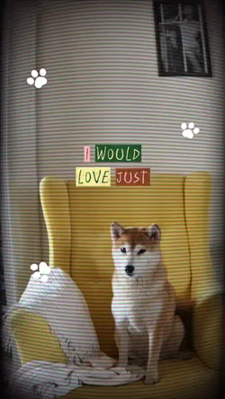 Pet Love