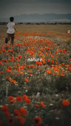 nature 
