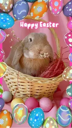 Happy Easter