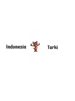 Indonesia or turky