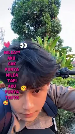 Milea? aku gak punya
