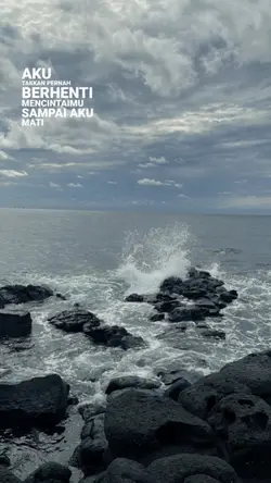 aku takkan pernah 