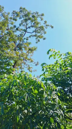 pagi yang sejuk