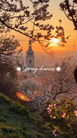 spring diaries ***