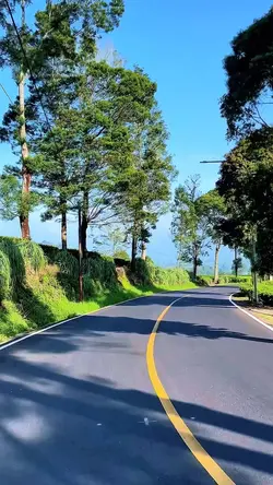 road trip
