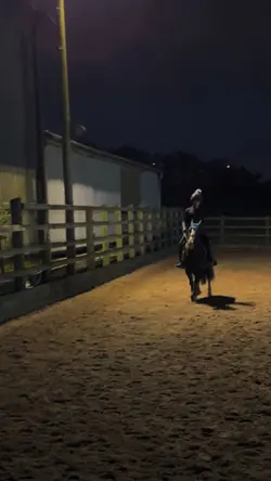 Dressage ponyyyyy