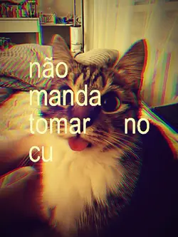 Cat trend