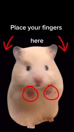 funny hamster meme 
