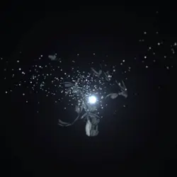 NOVA NEW CREATOR