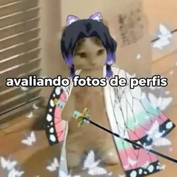 avaliando foto d vcs