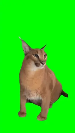 Floppa Cat Meme