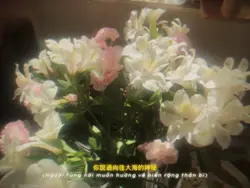 
THỦY TRIỀU / 潮汐