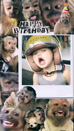 Happy birthday kocak