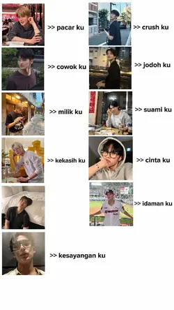 ver 11 photo