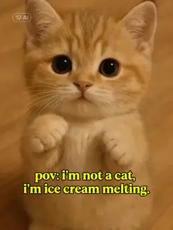 ice cream cat