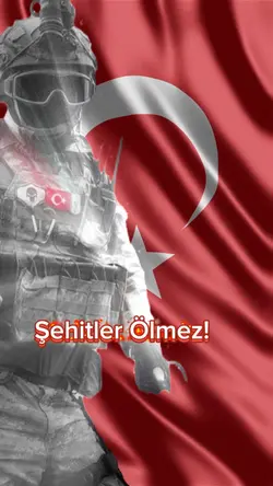 Şehit Asker
