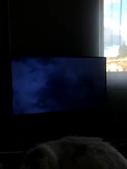 play music louder 