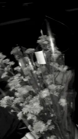 blur x sadsong