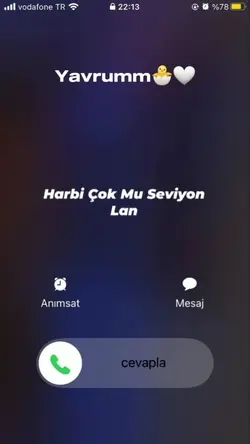 seviyorum be...