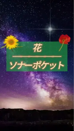 花 / ソナーポケット