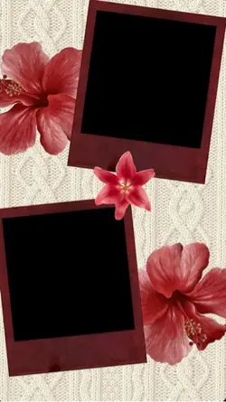 Free wallpape