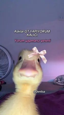 GT YAPIYORUM