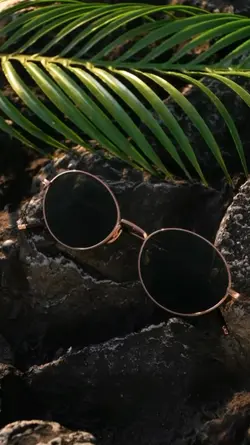 Glasses