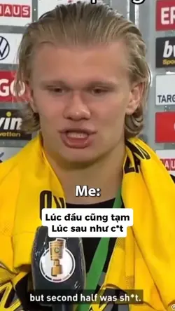 Meme haaland 
