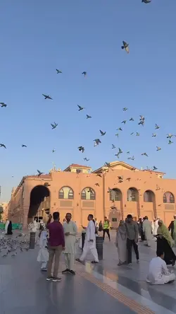aesthetic umroh