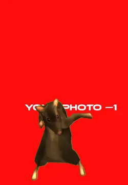 tiktok vairal