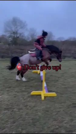 Never give u