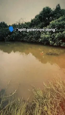 SPILL GALERINYA DONG
